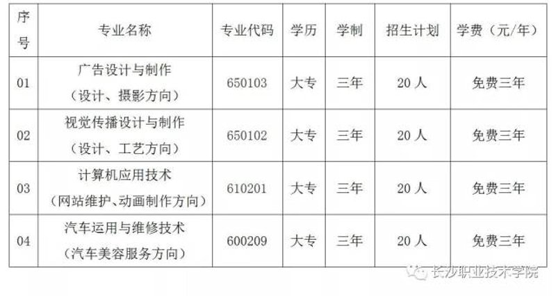 微信小程序开发：打造无缝用户体验的新篇章